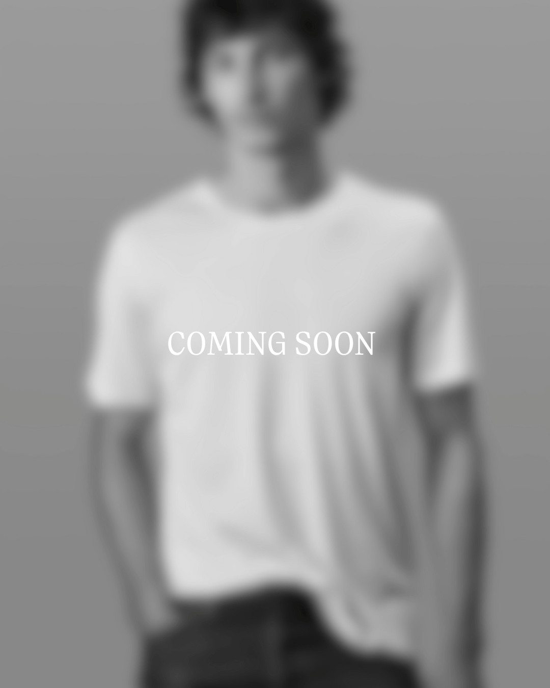 Tee N°02 Cotton/Cashmere - Grey